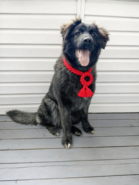 �������� ������� ����� ���� ���������� ������ - ����������  � ����������