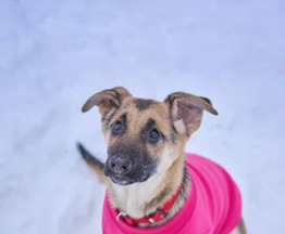 ����� ����� �������� ������� ���� ���������� ������ - ����������  � ����������