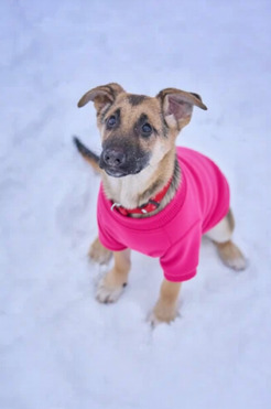 ����� ����� �������� ������� ���� ���������� ������ - ����������  � ����������