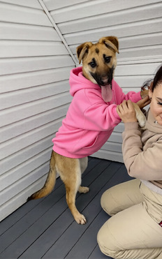 ����� ������ ���� ��� - ����������  � ����������