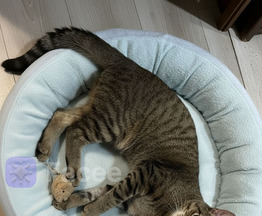 ����� ���� ���������� ������ - ����������  � ����������