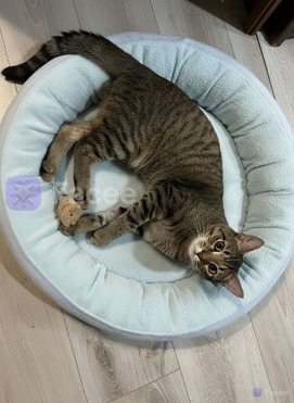 ����� ���� ���������� ������ - ����������  � ����������