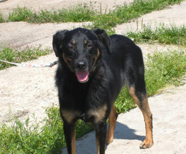 ��������, ������ ������ ����� ���� ������ ������� ��������! - ���� 1 � ����������