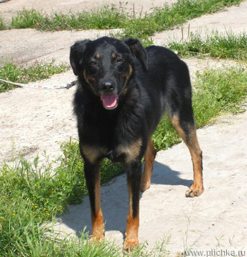 ��������, ������ ������ ����� ���� ������ ������� ��������! - ���� 1 � ����������