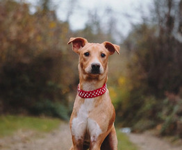 ��������� ������ ����� � ������� ��������� - ���� 1 � ����������