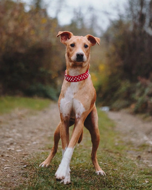 ��������� ������ ����� � ������� ��������� - ���� 1 � ����������