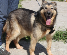 �����������, ���������� ������ � ������� ����� ����� � ���� - ���� 1 � ����������