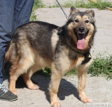 �����������, ���������� ������ � ������� ����� ����� � ���� - ���� 1 � ����������