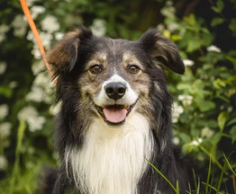 ������. ���� ����� ����� - ���� 1 � ����������