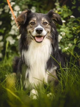 ������. ���� ����� ����� - ���� 1 � ����������