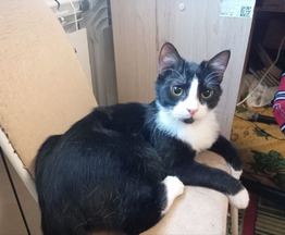 ����������� ����� ������ � ������ ���� - ���� 1 � ����������