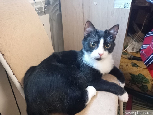 ����������� ����� ������ � ������ ���� - ���� 1 � ����������