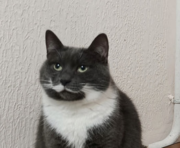 ������ ������� ���� � ������� ���� - ���� 1 � ����������