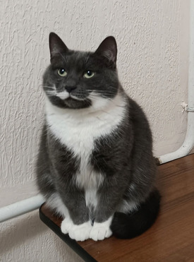 ������ ������� ���� � ������� ���� - ���� 1 � ����������