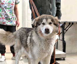 ����������� ������� ���� ���������� ������ - ���� 1 � ����������