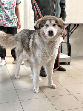 ����������� ������� ���� ���������� ������ - ���� 1 � ����������