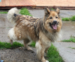 ����� � ������� ���� � ����� ����� - ���� 1 � ����������