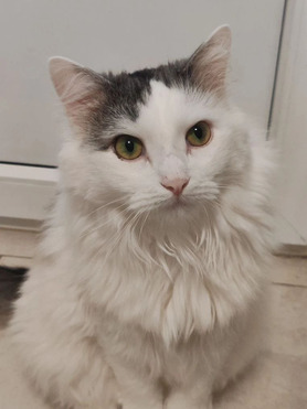 ������������ ������� ����� ���� ���� ����� - ���� 1 � ����������