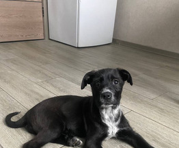 ���� ��� �������� ����� ����, ����� � ���. - ���� 1 � ����������