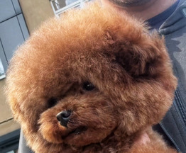 ��������� ����� ����� ������ ����� (������� � �������) - ���� 1 � ����������