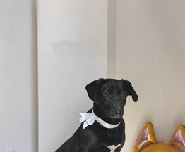 ����: ���� ��������� ������-��������� - ���� 1 � ����������