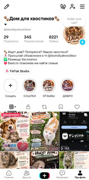 ����� ���� ���������� ������ - ����������  � ����������
