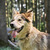 ����������� ������� ���� ���������� ������ - ���� 2 � ����������