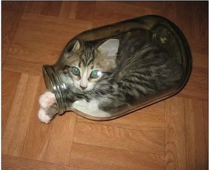 ����: ��� ��������� ���������� ����������� �����?