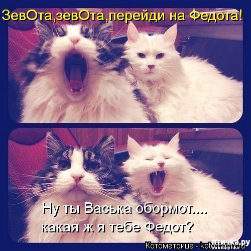 фотография 16: Ну и пусть зевают на здоровье! фото 16: Ну и пусть зевают на здоровье!