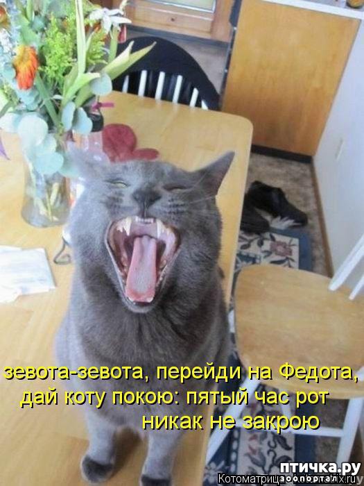 фотография 1: Ну и пусть зевают на здоровье! фото 1: Ну и пусть зевают на здоровье!