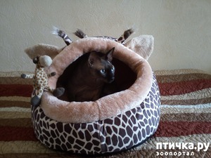 ����: ������� � ������ ����!