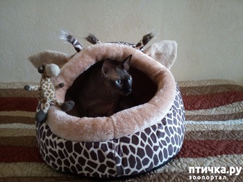 ����: ������� � ������ ����!