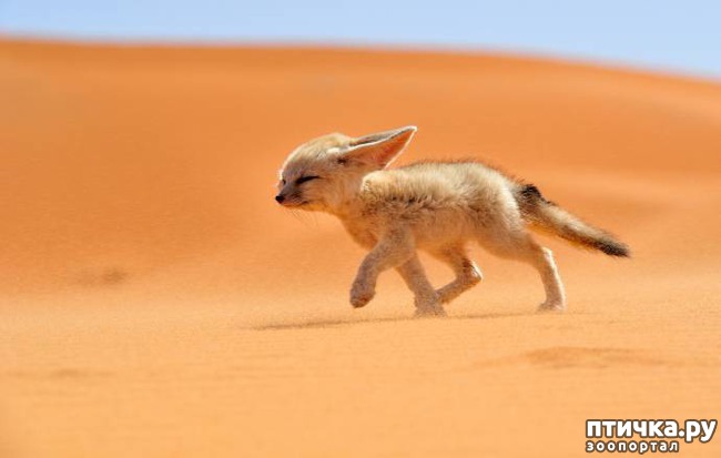 ���� 2: ����� - ������� ��� �������