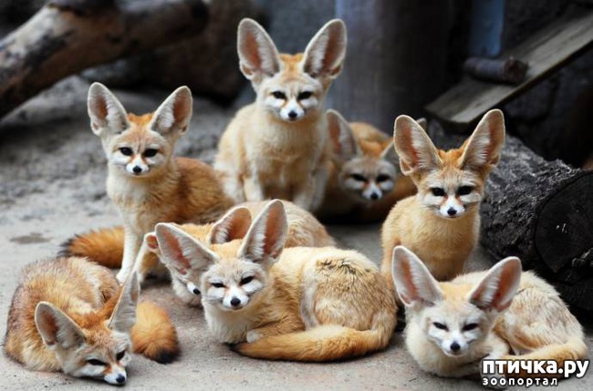 ���� 4: ����� - ������� ��� �������