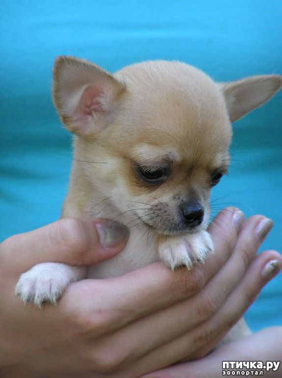 ���� 2: ������ ������