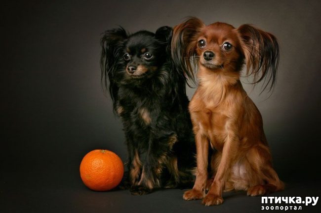 ���� 5: ������ ������