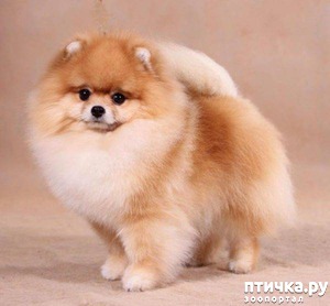 ����: ������ ������