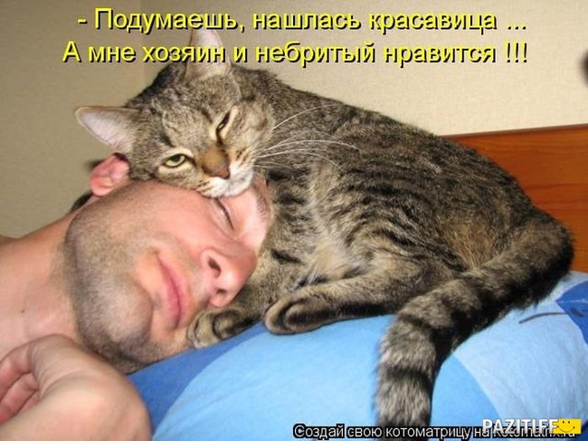 ���� 1: ����������� � �������: ���� �����!!!