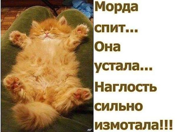 ���� 3: ����������� � �������: ���� �����!!!