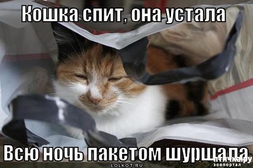 ���� 4: ����������� � �������: ���� �����!!!