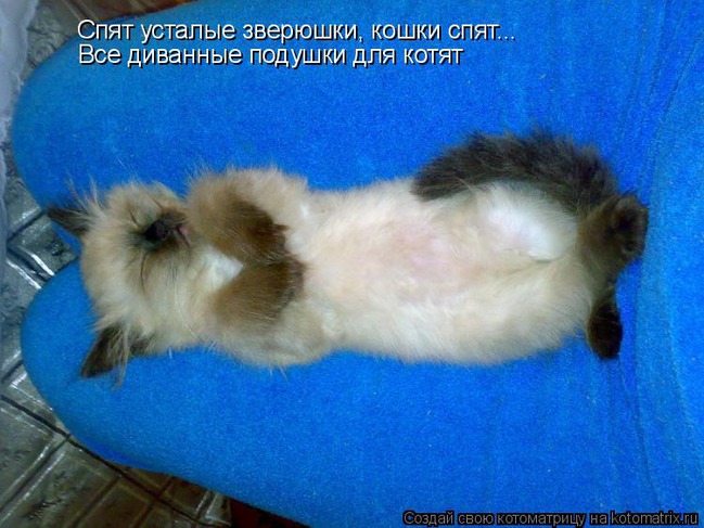 ���� 6: ����������� � �������: ���� �����!!!