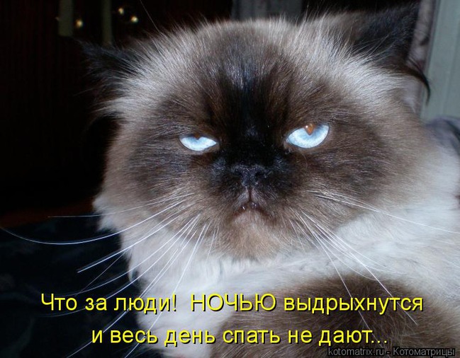 ���� 8: ����������� � �������: ���� �����!!!