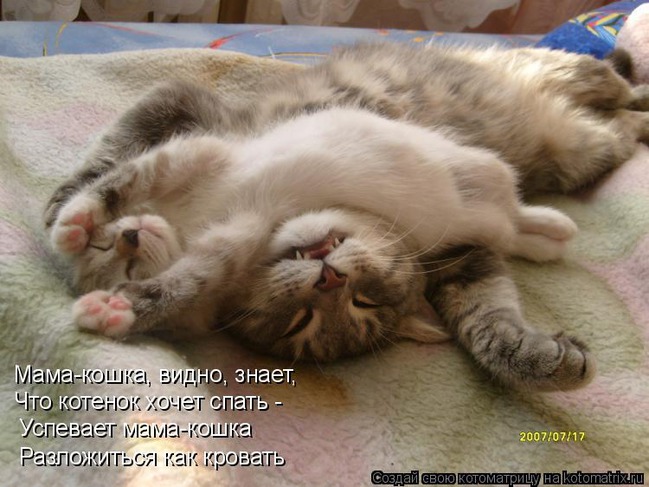 ���� 9: ����������� � �������: ���� �����!!!