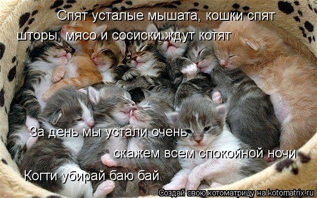 ���� 12: ����������� � �������: ���� �����!!!