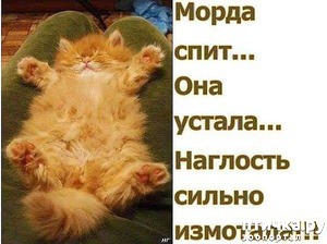 ����: ����������� � �������: ���� �����!!!