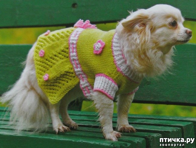 ���� 16: ������ ������� � ������� �������)))