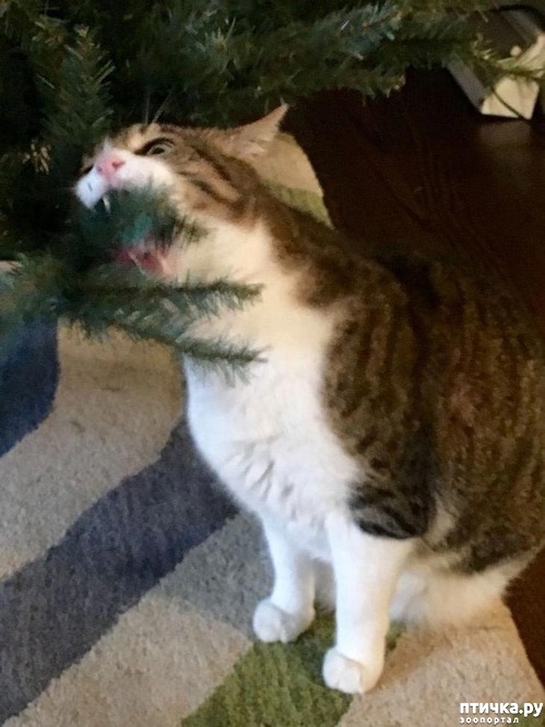 ���� 23: ���� ������ ����.