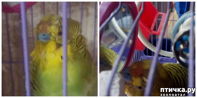 ���� 1: ������ �������