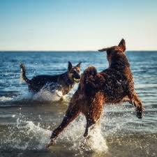 ���� 1: ����� � ����� �� ��������...