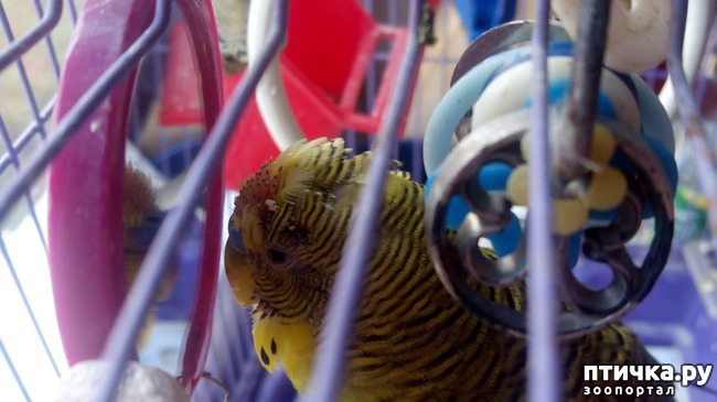 ���� 3: ������ �������